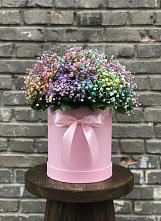 Цветочная композиция из Гипсофила и Розы в шляпной коробке #REPLACE_PRED# Царево