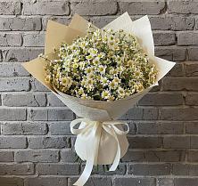 Букет цветов из:  Ромашки #REPLACE_PRED# Царево