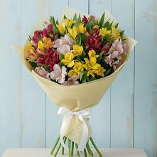 Букет цветов из:  Альстромерии #REPLACE_PRED# Царево