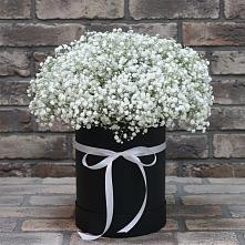Цветочная композиция из Гипсофила в шляпной коробке #REPLACE_PRED# Царево