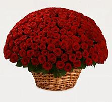 Премиум букет из: Розы в Царево