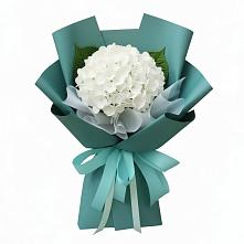 Букет цветов из:  Гортензия в Царево